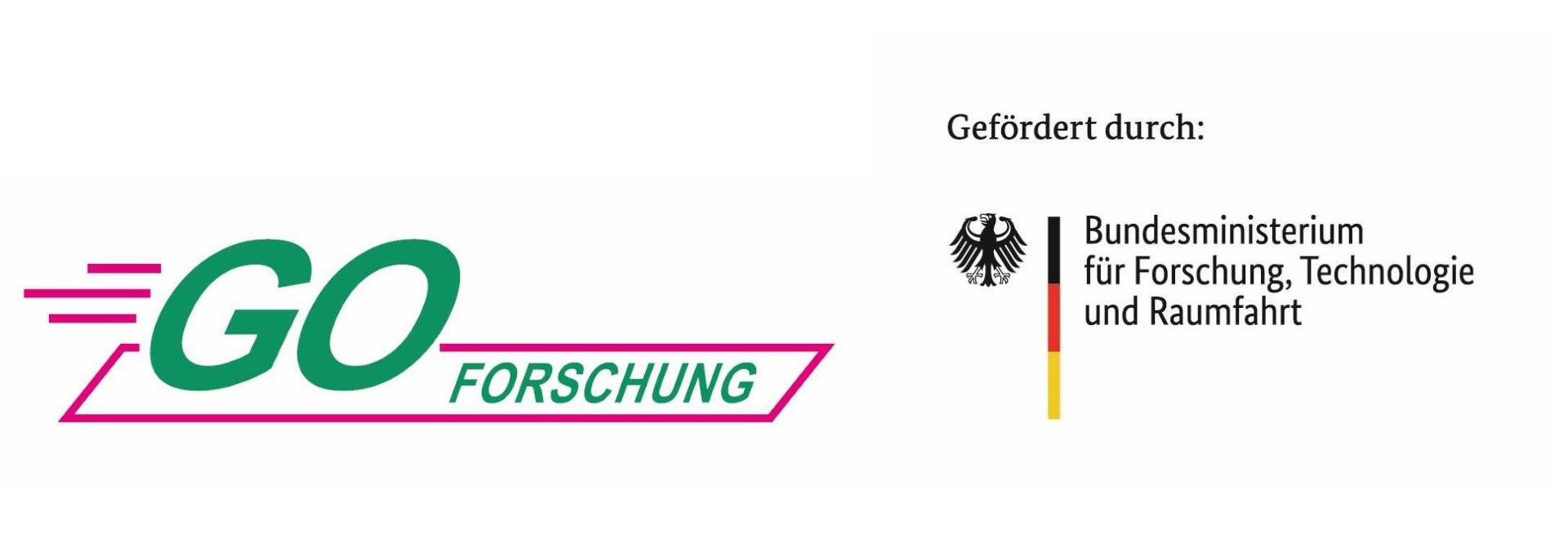 Logo GO Forschung und Bundesministerium für Forschung, Technologie und Raumfahrt