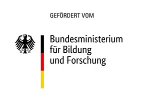 Logo von GO-Forschung und des Bundesministeriums für Bildung und Forschung