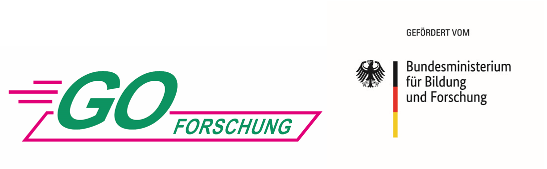 Logo GO Forschung und Bundesministerium für Bildung und Forschung